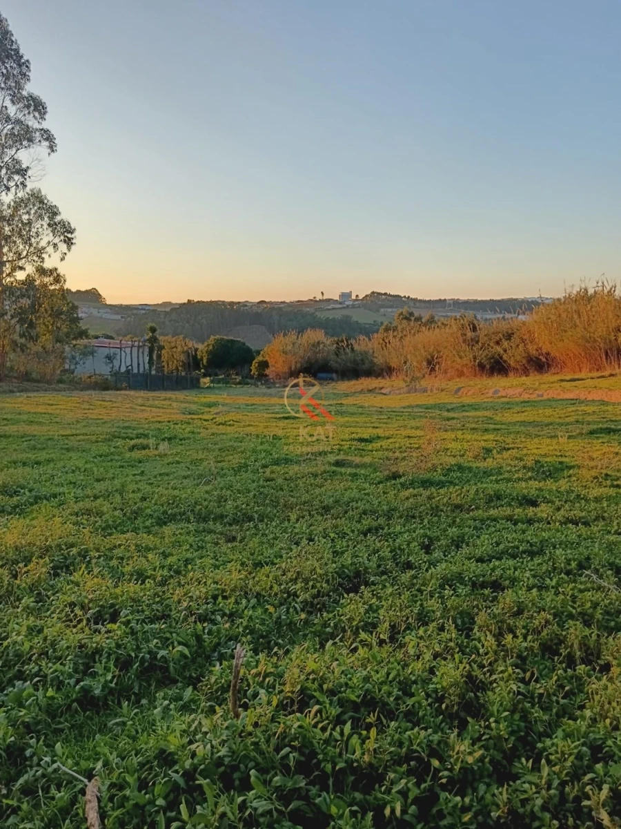 Moradia T4 para Venda em Miragaia e Marteleira Foto 17