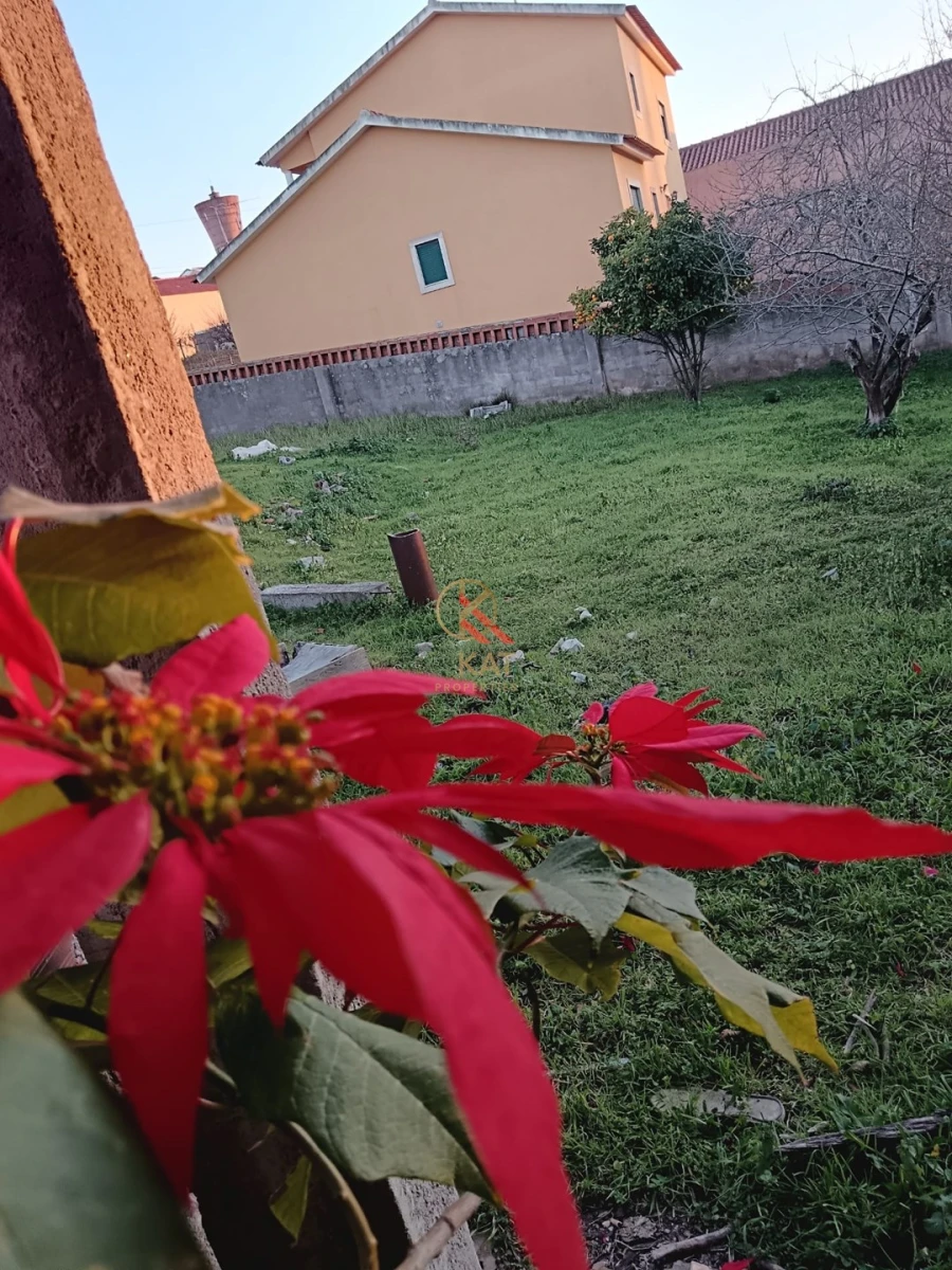 Moradia T4 para Venda em Miragaia e Marteleira Foto 19