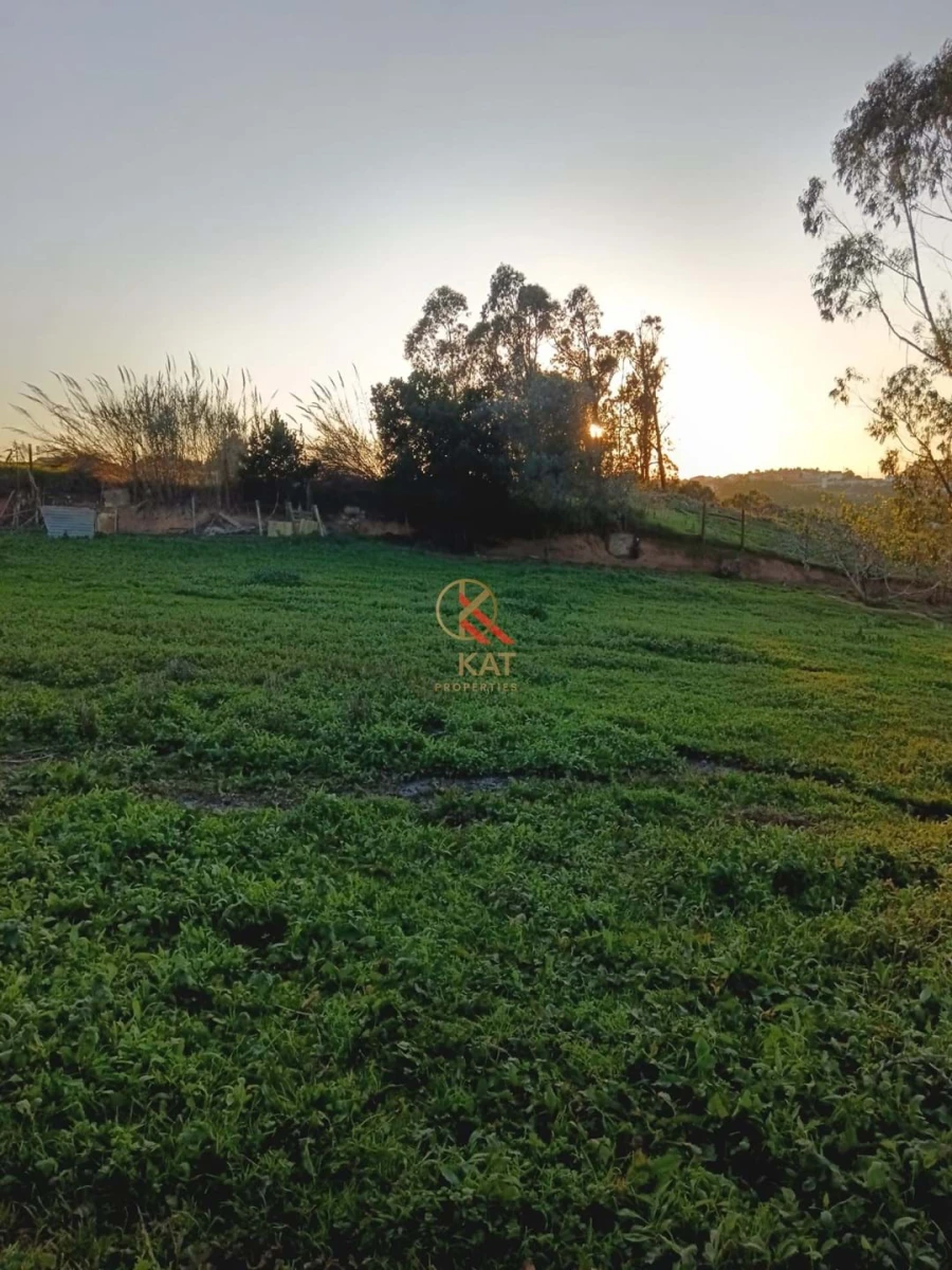 Moradia T4 para Venda em Miragaia e Marteleira Foto 20