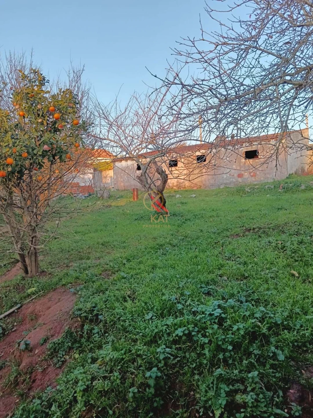 Moradia T4 para Venda em Miragaia e Marteleira Foto 18