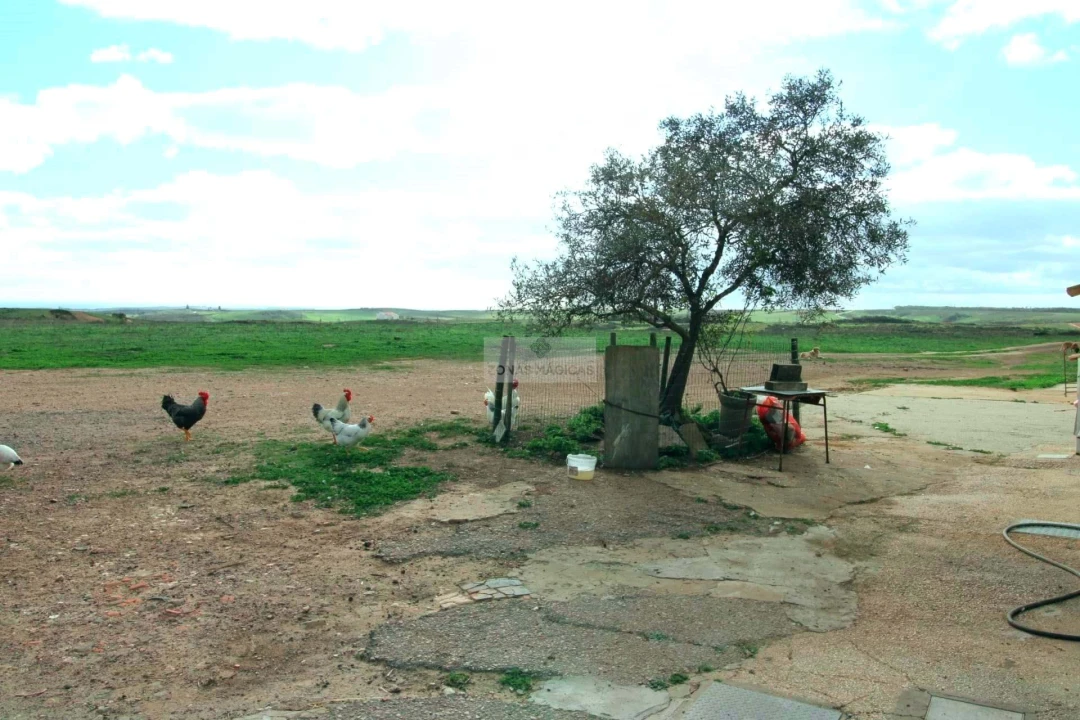 Quinta T4 para Venda em Vila do Bispo e Raposeira Foto 18