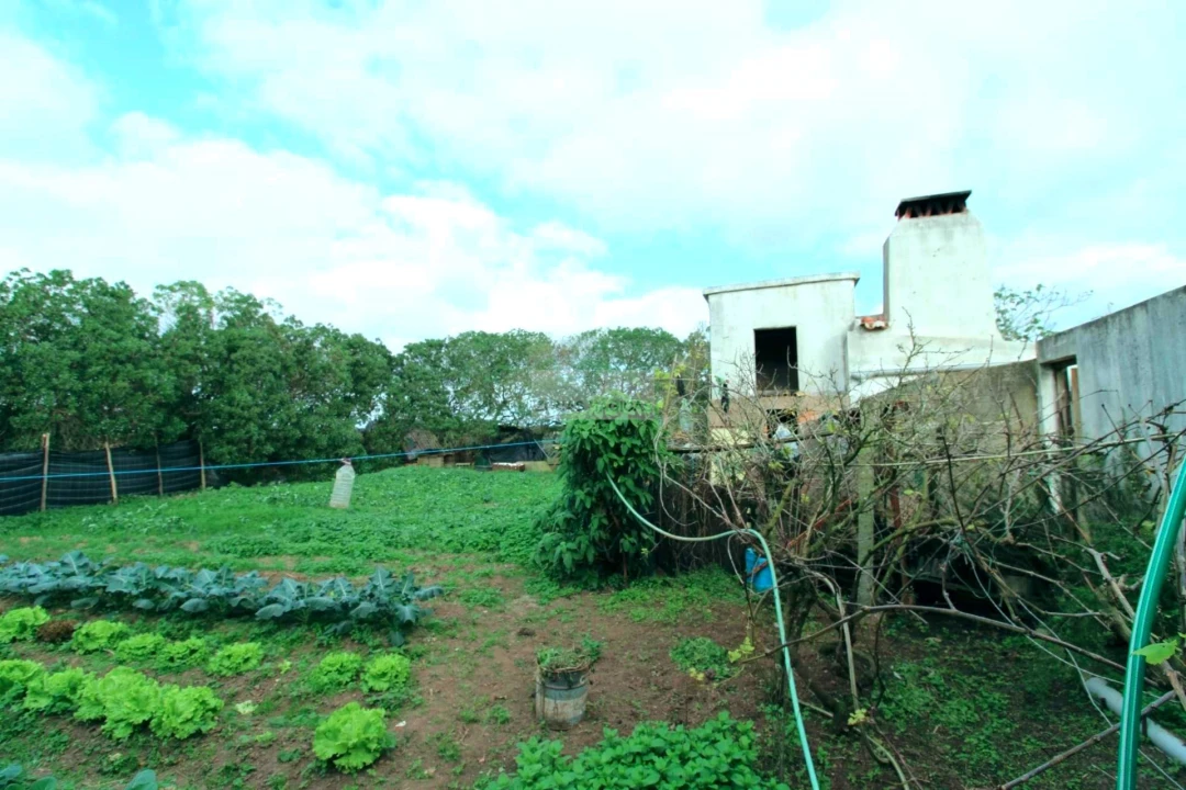 Quinta T4 para Venda em Vila do Bispo e Raposeira Foto 11