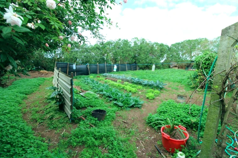 Quinta T4 para Venda em Vila do Bispo e Raposeira Foto 10