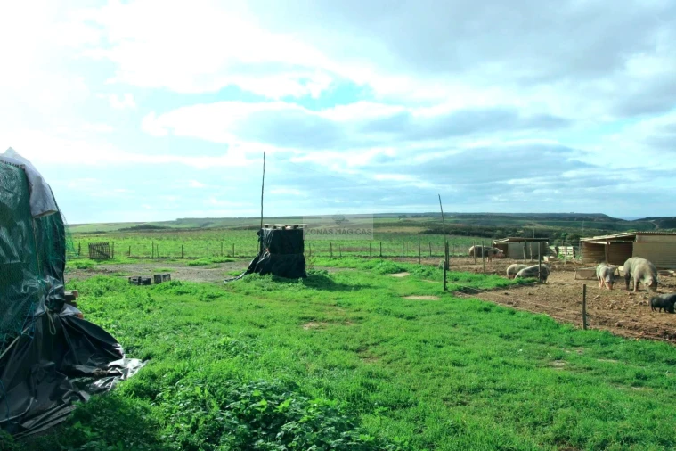 Quinta T4 para Venda em Vila do Bispo e Raposeira Foto 13