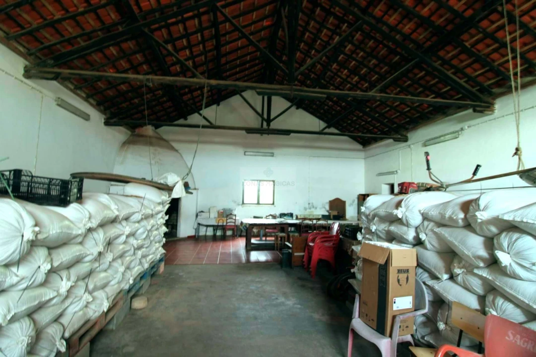 Quinta T4 para Venda em Vila do Bispo e Raposeira Foto 16