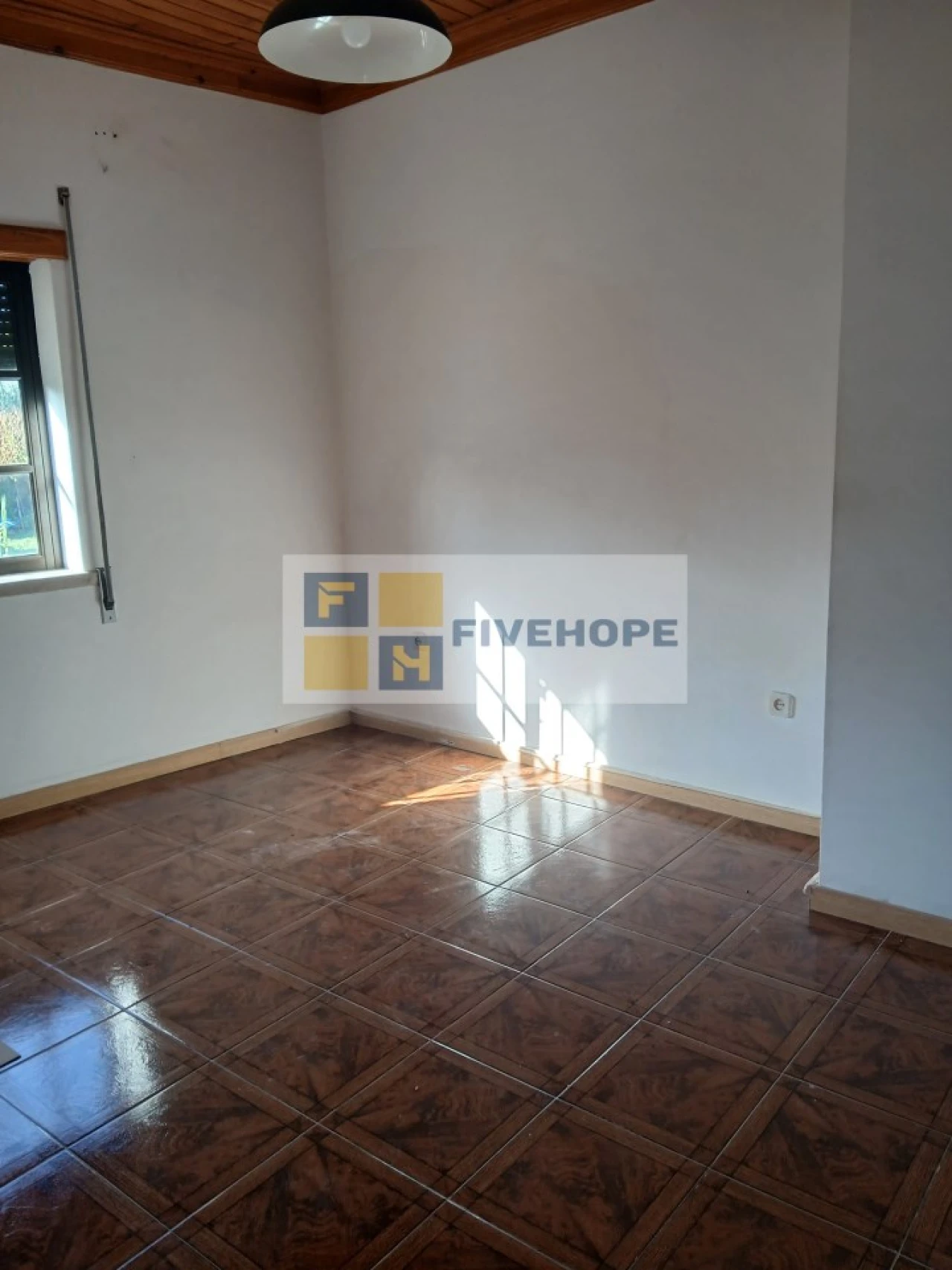 Quinta T10 para Venda em Semide e Rio Vide Foto 16