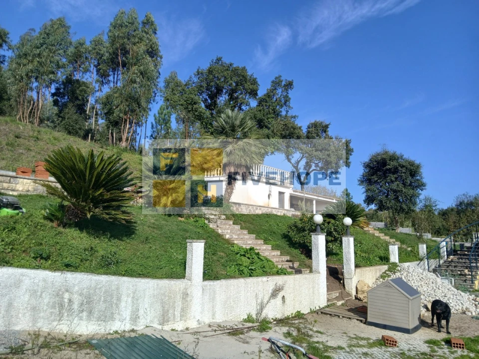 Quinta T10 para Venda em Semide e Rio Vide Foto 30