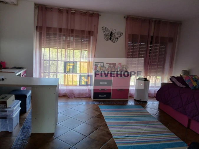 Quinta T10 para Venda em Semide e Rio Vide Foto 5