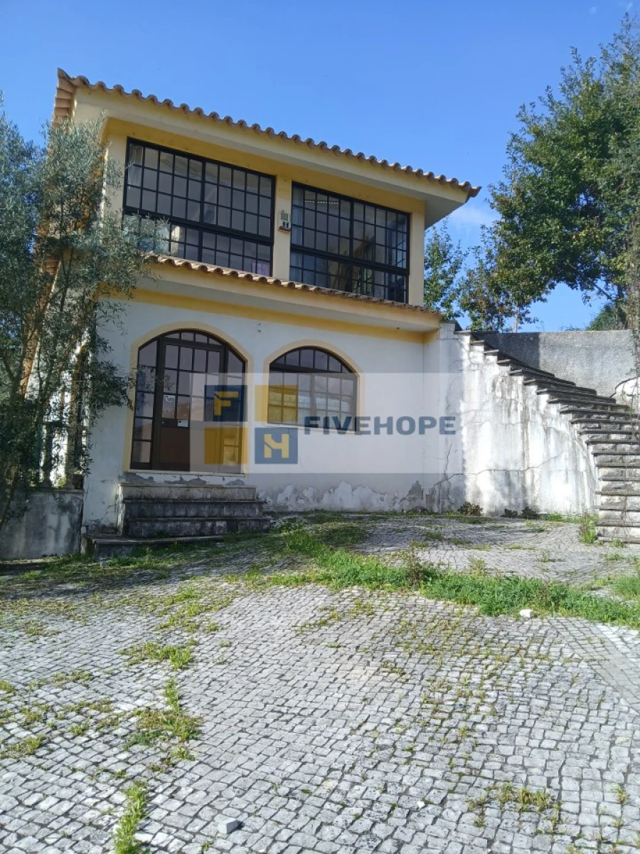 Quinta T10 para Venda em Semide e Rio Vide Foto 29