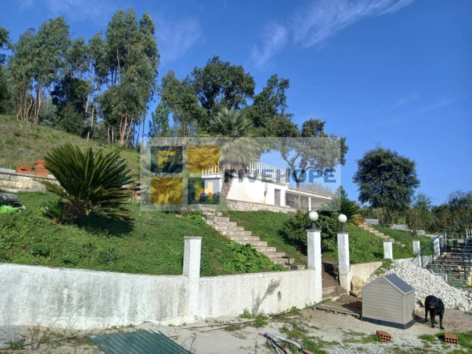 Quinta T10 para Venda em Semide e Rio Vide Foto 30