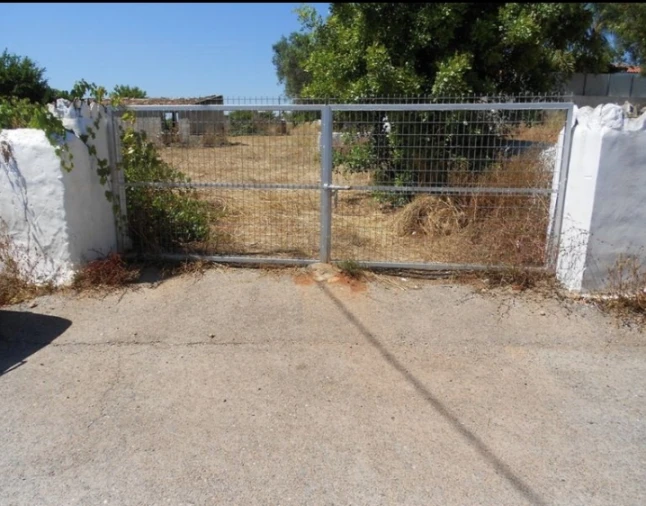 Terreno Agricola ou Rústico para Venda em Pechão Foto 18