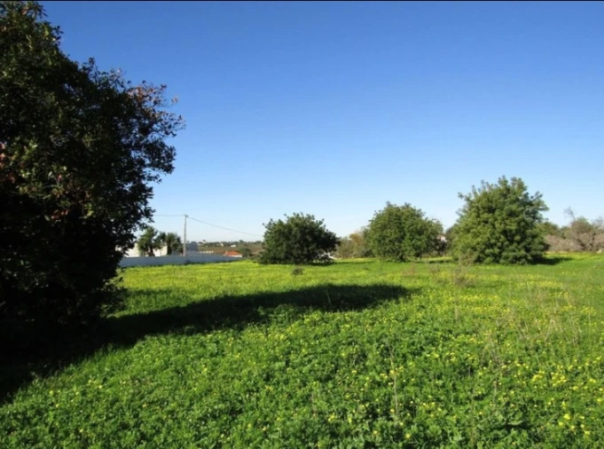 Terreno Agricola ou Rústico para Venda em Pechão Foto 9