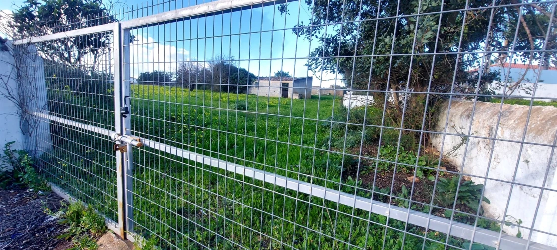 Terreno Agricola ou Rústico para Venda em Pechão Foto 2