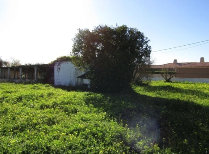 Terreno Agricola ou Rústico para Venda em Pechão Foto 15