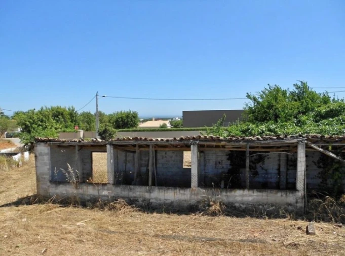 Terreno Agricola ou Rústico para Venda em Pechão Foto 17
