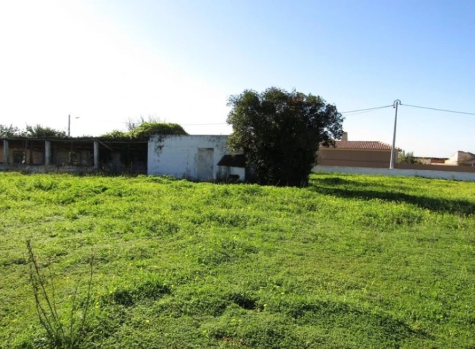 Terreno Agricola ou Rústico para Venda em Pechão Foto 14