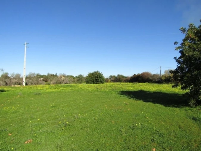 Terreno Agricola ou Rústico para Venda em Pechão Foto 7