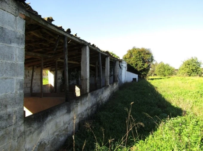 Terreno Agricola ou Rústico para Venda em Pechão Foto 16