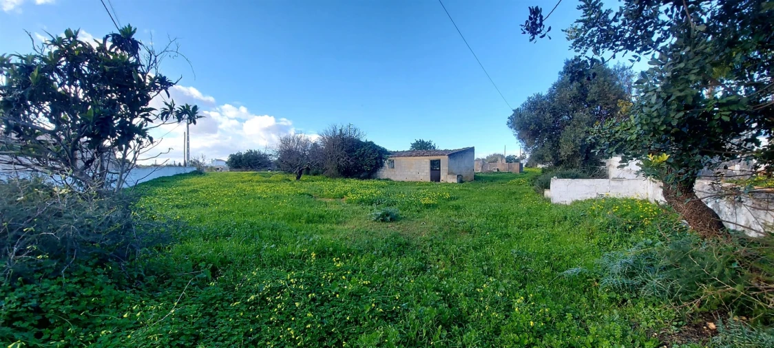 Terreno Agricola ou Rústico para Venda em Pechão Foto 4