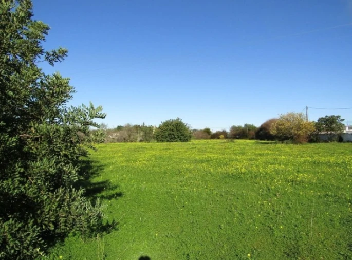 Terreno Agricola ou Rústico para Venda em Pechão Foto 10