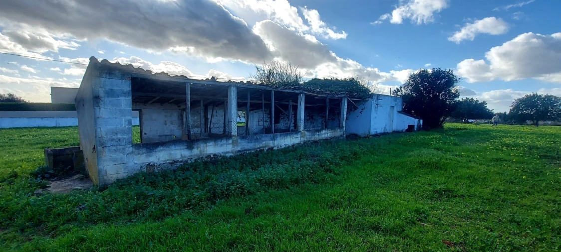 Terreno Agricola ou Rústico para Venda em Pechão Foto 3