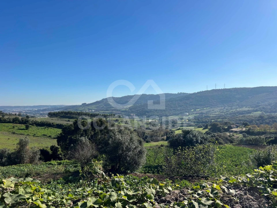 Moradia T2 para Venda em Almargem do Bispo, Pêro Pinheiro e Montelavar Foto 16