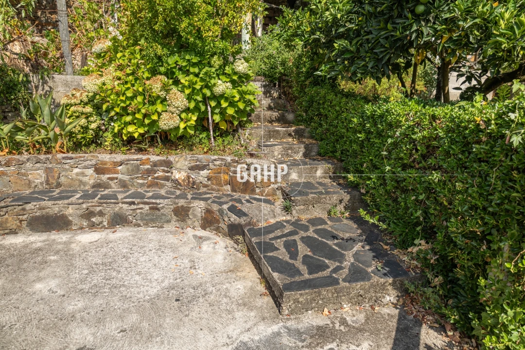 Moradia T3 para Venda em Lorvão Foto 35