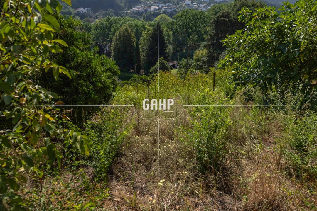 Moradia T3 para Venda em Lorvão Foto 51