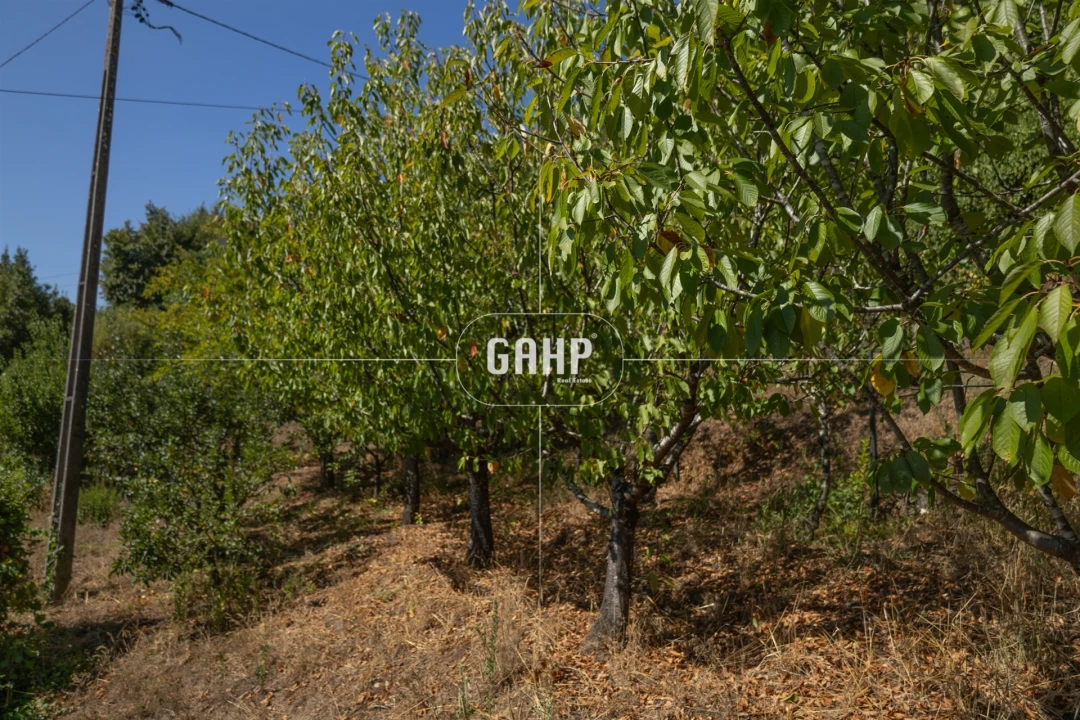 Moradia T3 para Venda em Lorvão Foto 54