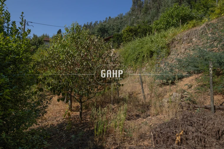 Moradia T3 para Venda em Lorvão Foto 55