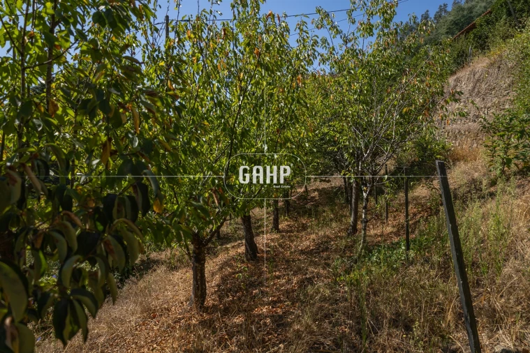 Moradia T3 para Venda em Lorvão Foto 56