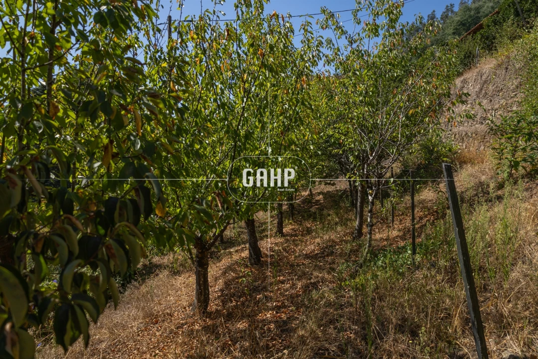 Moradia T3 para Venda em Lorvão Foto 56