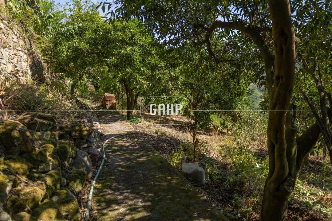 Moradia T3 para Venda em Lorvão Foto 52