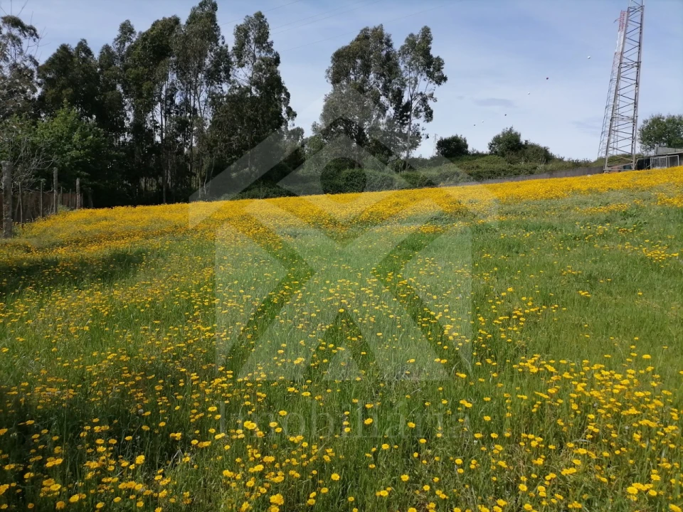 Terreno para Venda em Vila Nova de Famalicão e Calendário Foto 3