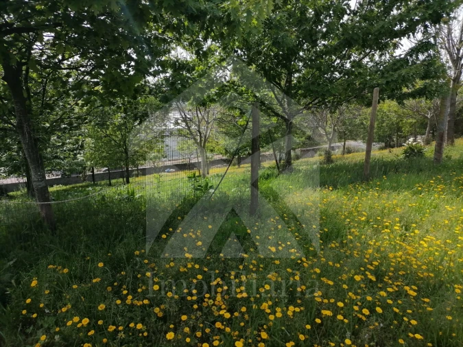 Terreno para Venda em Vila Nova de Famalicão e Calendário Foto 5