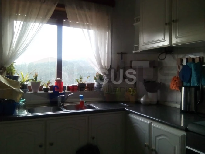 Moradia T6 para Venda em Cedrim e Paradela Foto 25