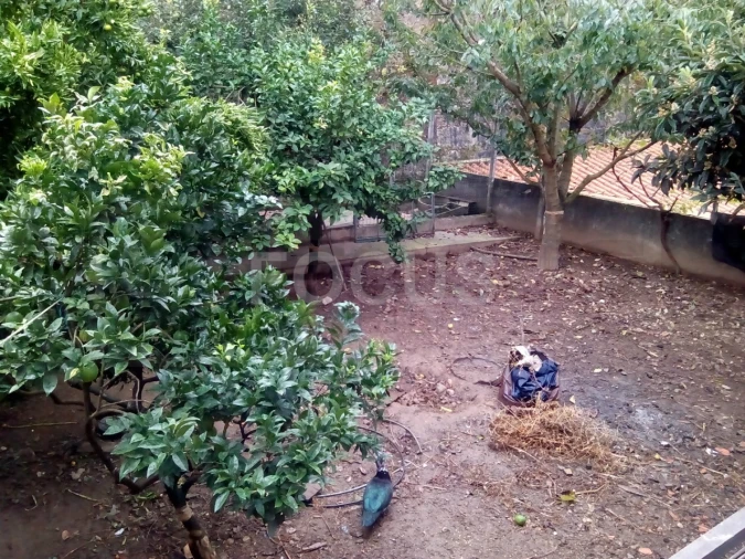 Moradia T6 para Venda em Cedrim e Paradela Foto 48