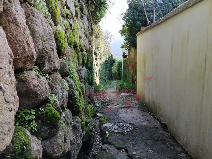 Moradia T1 para Venda em Oliveira do Douro Foto 14