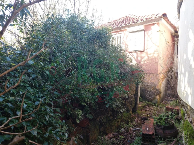 Moradia T1 para Venda em Oliveira do Douro Foto 18