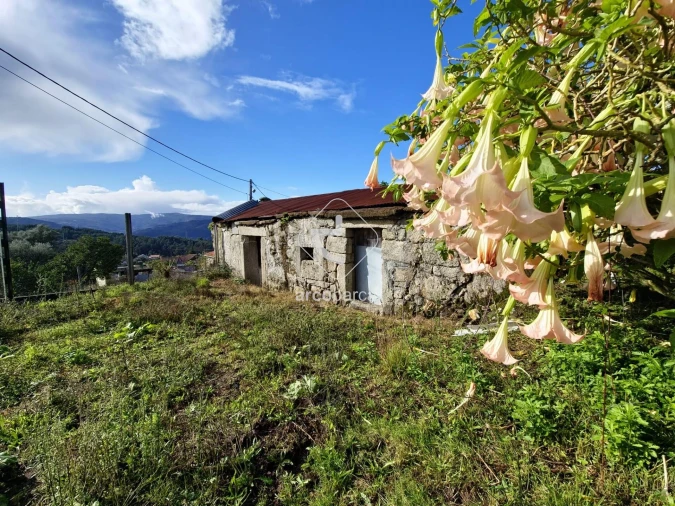 Moradia T2 para Venda em Eiras e Mei Foto 35
