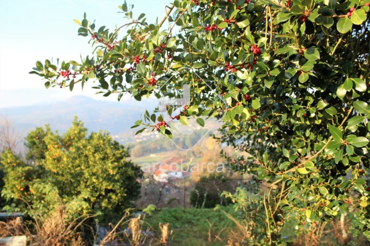 Moradia T2 para Venda em Eiras e Mei Foto 22