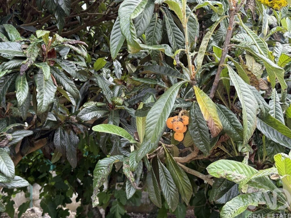 Moradia T3 para Venda em São Bartolomeu dos Galegos e Moledo Foto 8
