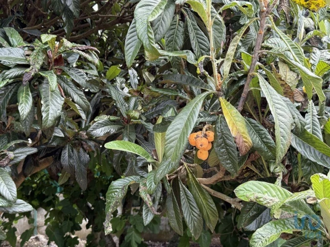 Moradia T3 para Venda em São Bartolomeu dos Galegos e Moledo Foto 8