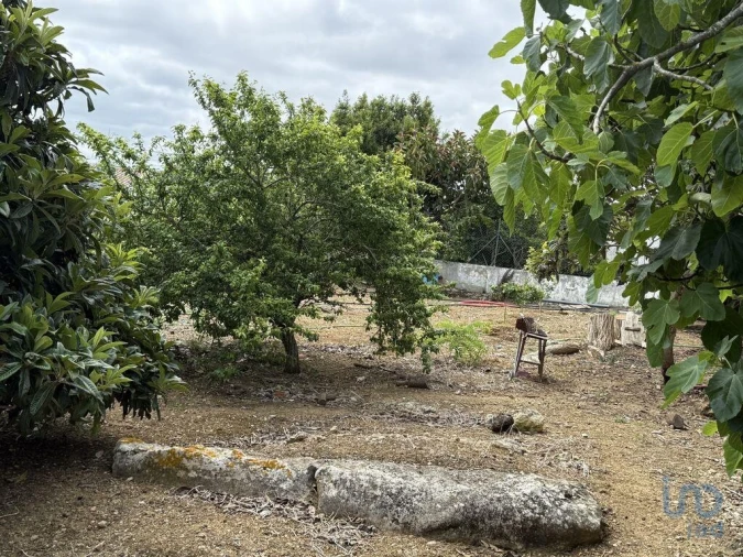 Moradia T3 para Venda em São Bartolomeu dos Galegos e Moledo Foto 9