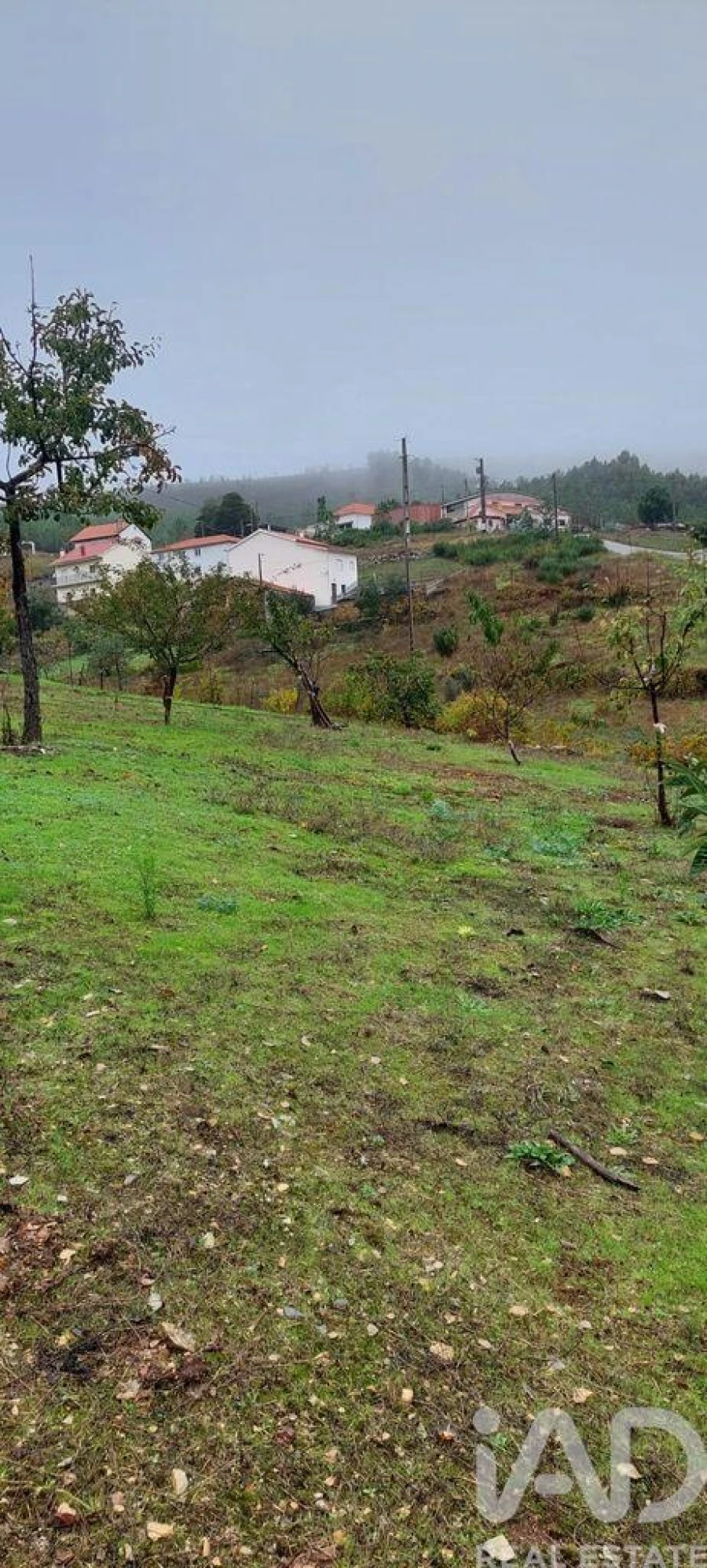 Terreno para Venda em Unhais-O-Velho Foto 25