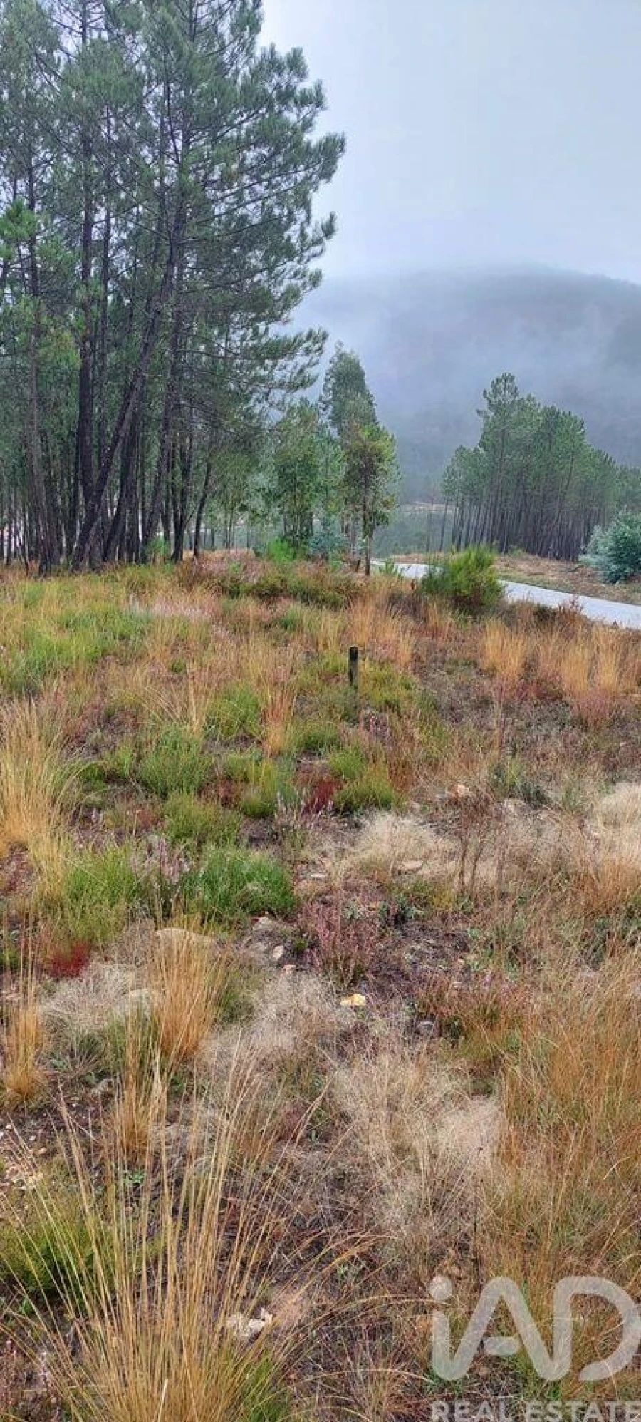 Terreno para Venda em Unhais-O-Velho Foto 27