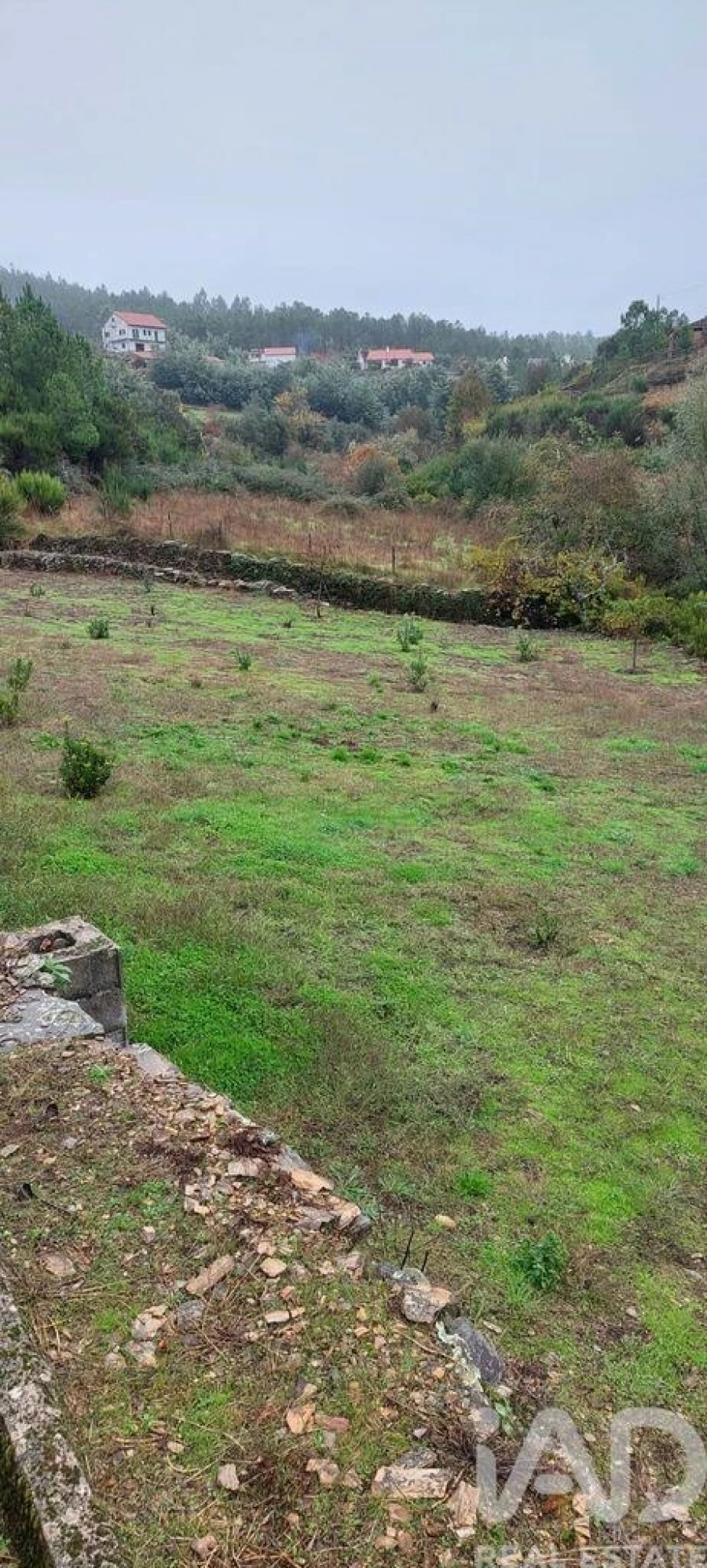 Terreno para Venda em Unhais-O-Velho Foto 18
