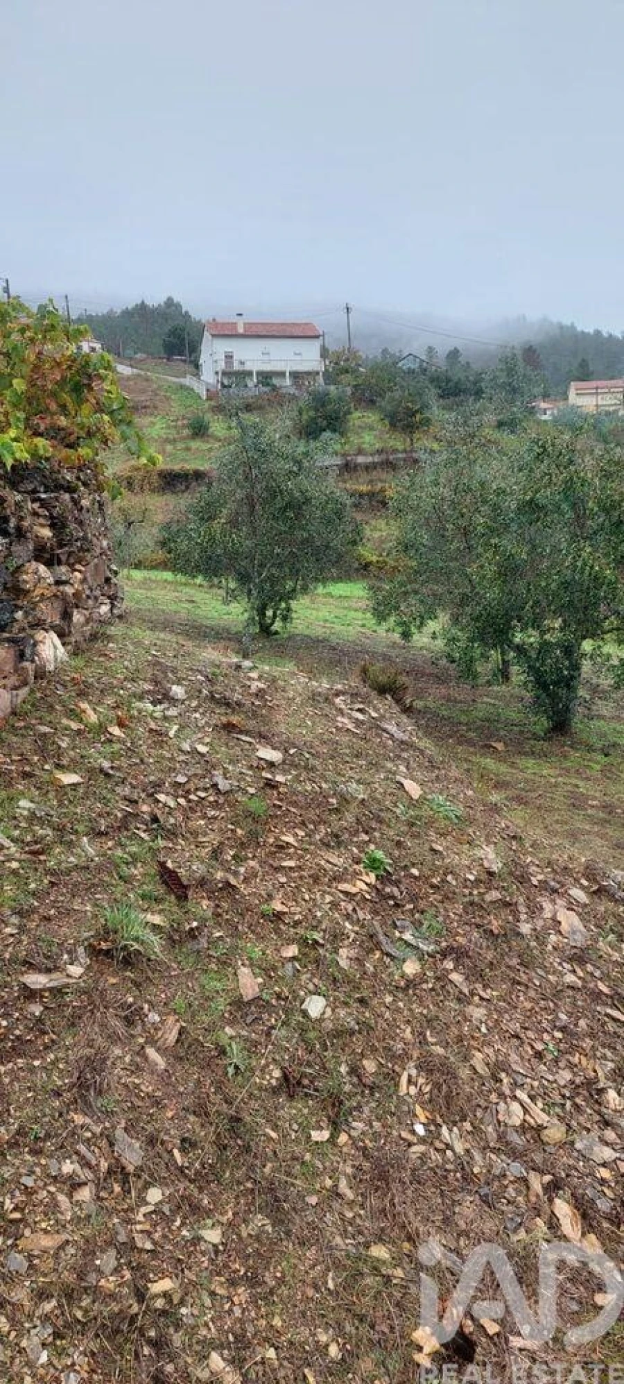 Terreno para Venda em Unhais-O-Velho Foto 21