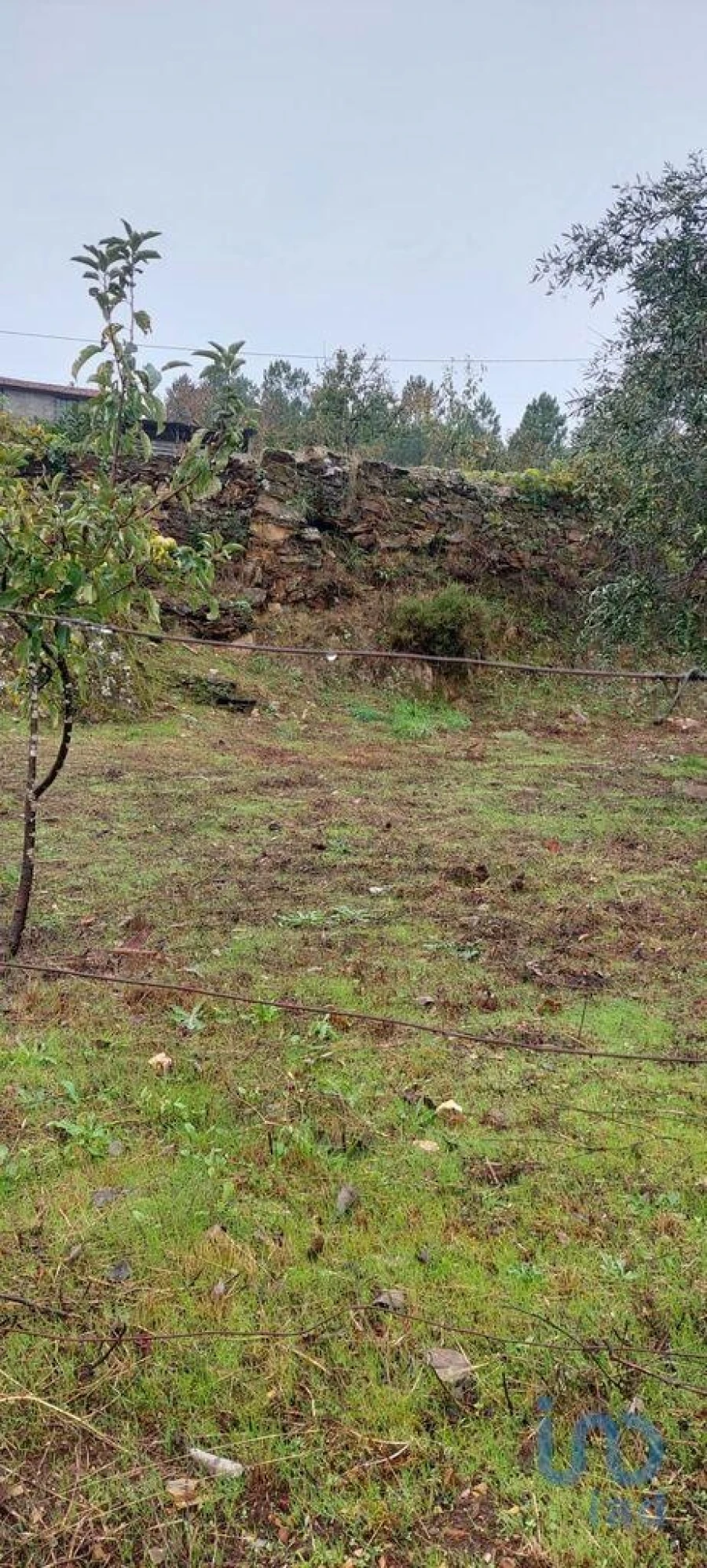 Terreno para Venda em Unhais-O-Velho Foto 10