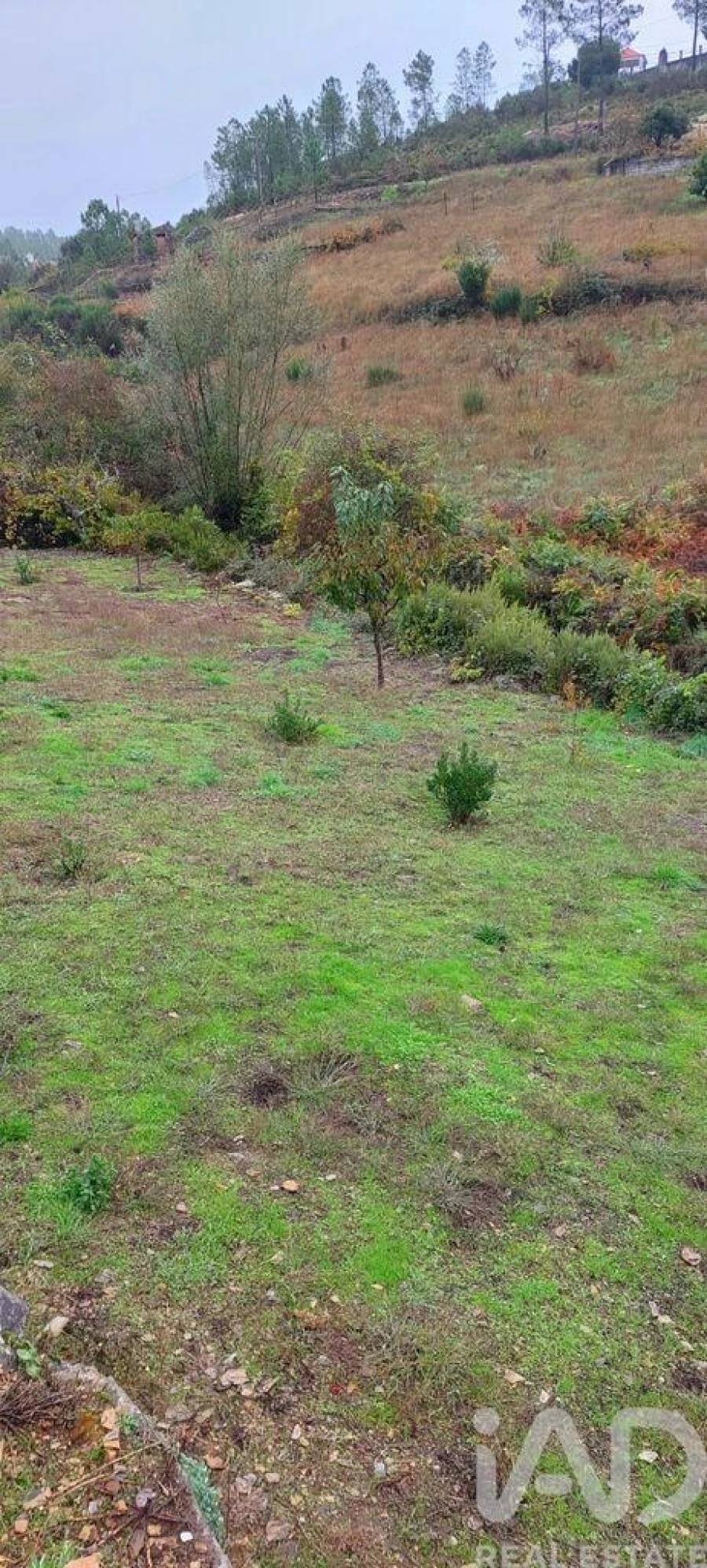 Terreno para Venda em Unhais-O-Velho Foto 16